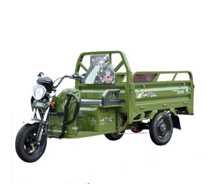 ChineseTricycleFactory2500 * 1000Size And Open Body Type Motor Electric Carry Cargo Rickshaw Electric Tricycle