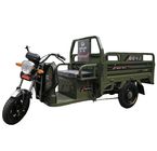 Elder Pedal Assisted 3.1m * 1m Electric Cargo Tricycle